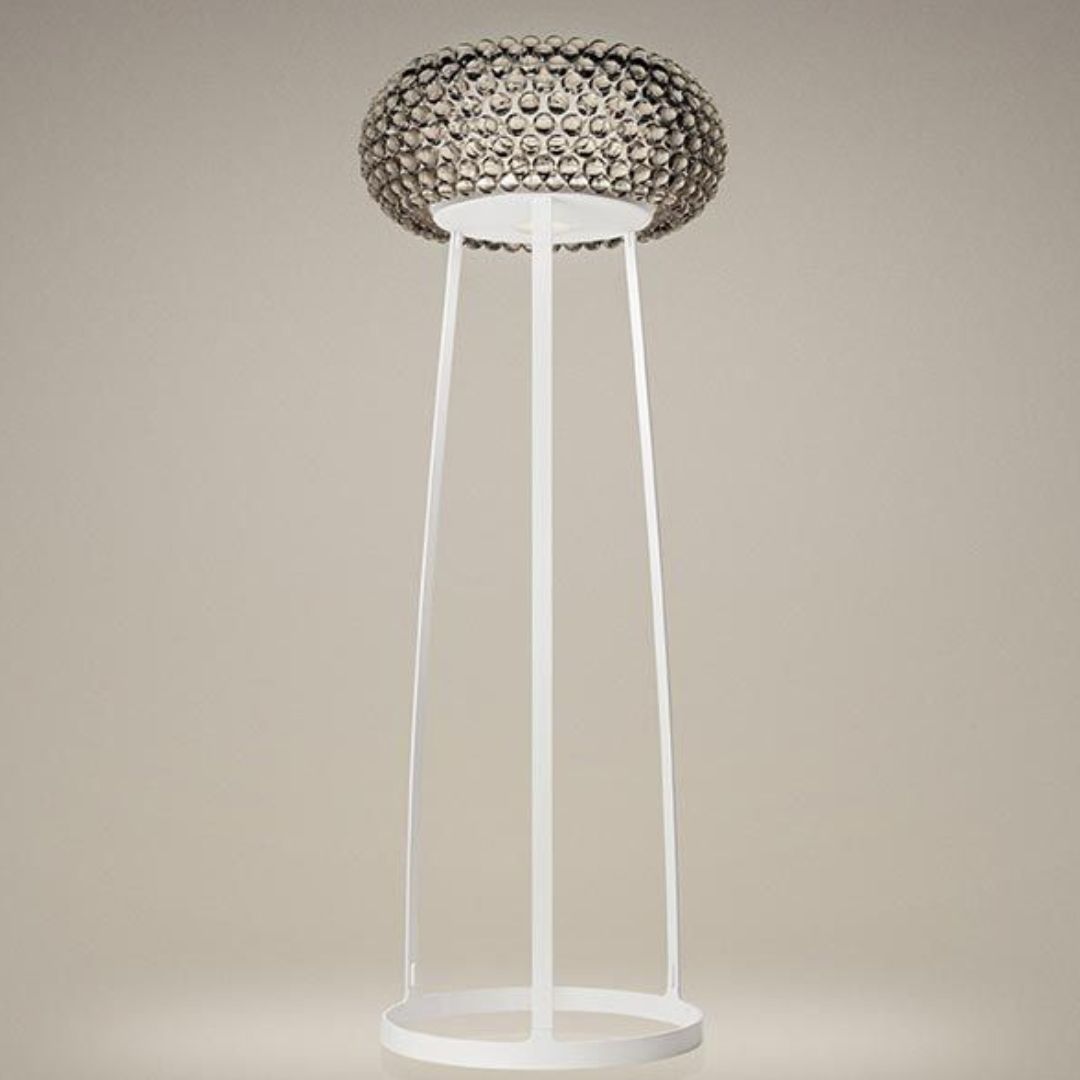 CABOCHE PLUS GRANDE TERRA