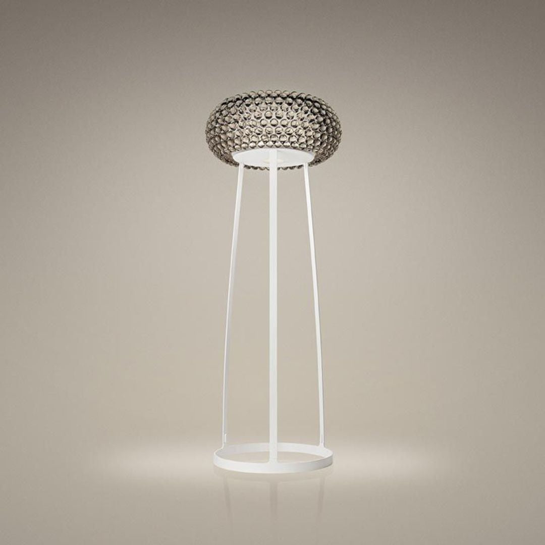 CABOCHE PLUS MEDIA TERRA