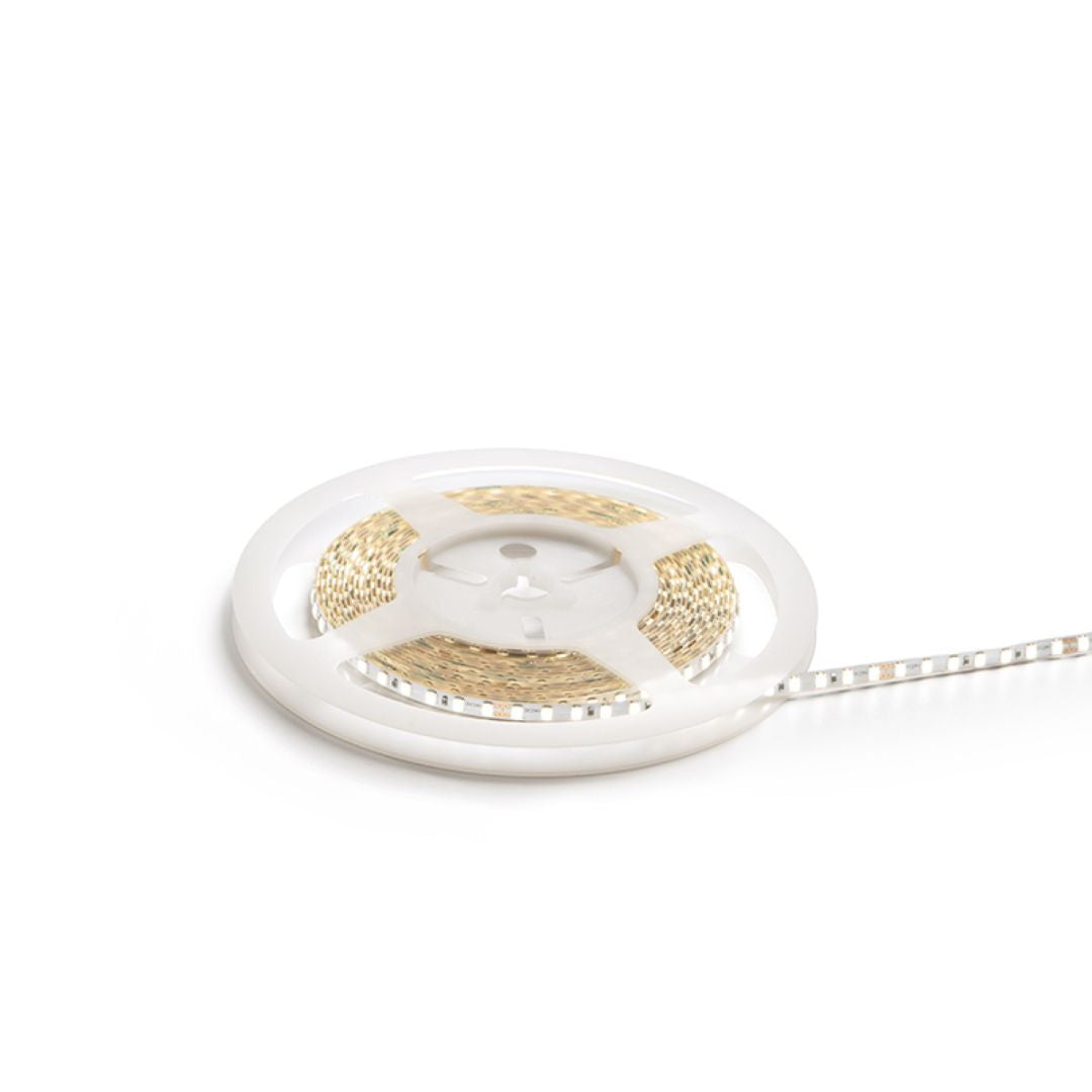 STRIP LED 11W/m spessore 5 mm