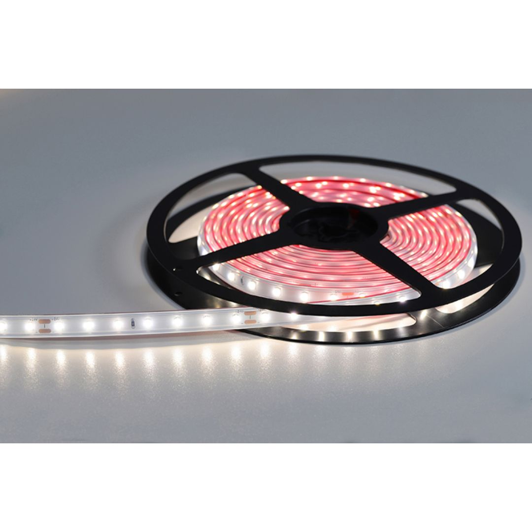 STRIP LED 18 W/m x esterno
