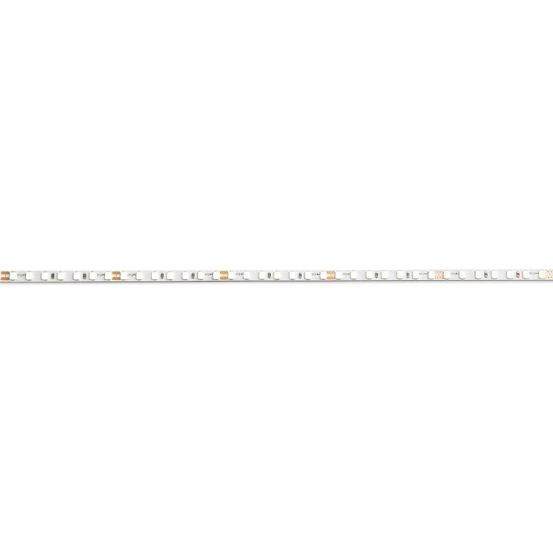 STRIP LED 11W/m spessore 5 mm