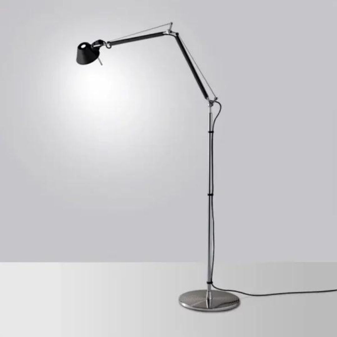 TOLOMEO TERRA