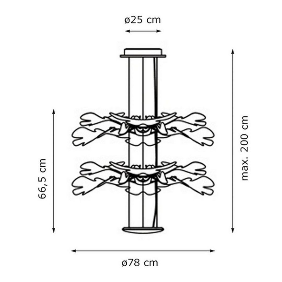 CHLOROPHILIA SOSP. 2