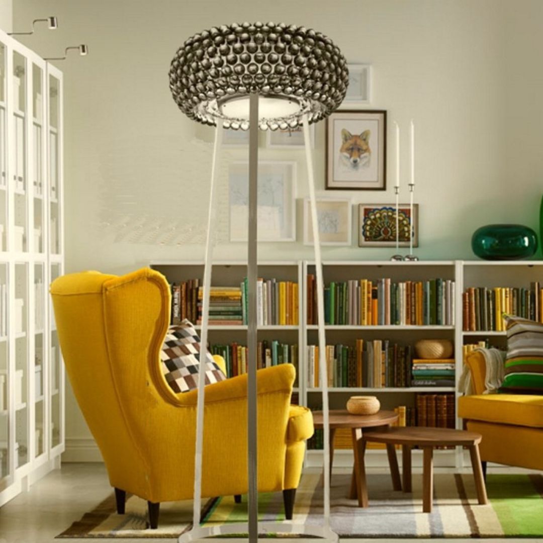 CABOCHE PLUS GRANDE TERRA