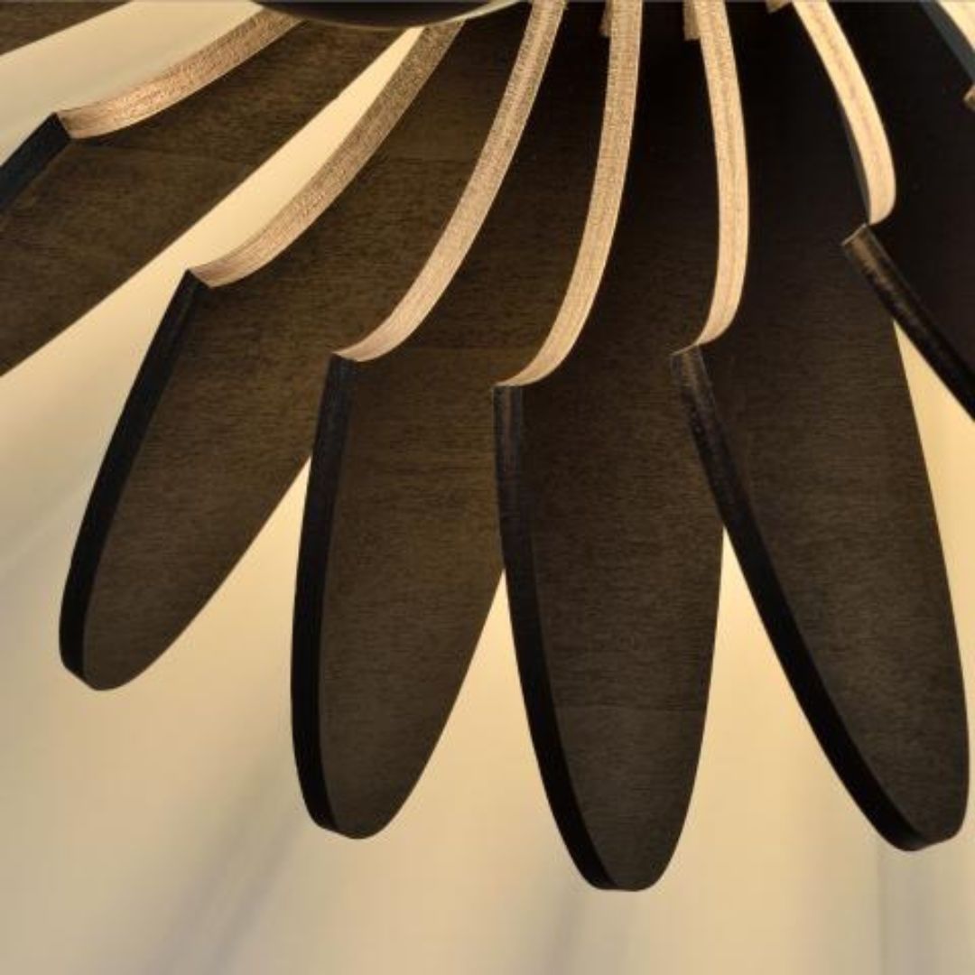 ROSA DEL DESERTO PLAF.