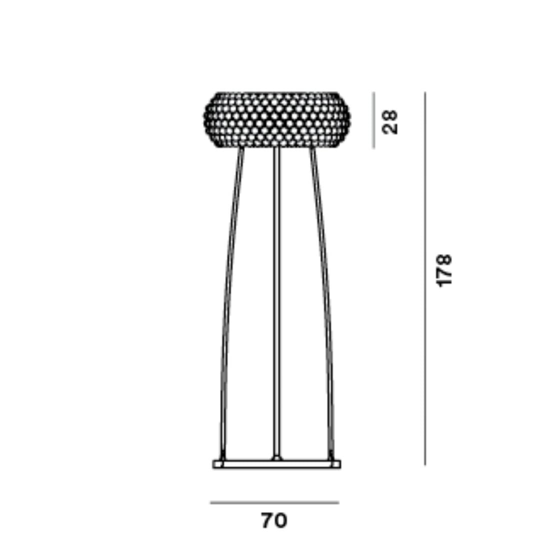 CABOCHE PLUS GRANDE TERRA