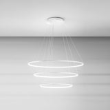 Sospensione anelli led bianco art ERIKA/S2 (Ø60+Ø80) ed art ERIKA/S3 (Ø60+Ø80+Ø100)