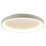 Plafoniera anello led CCT dimmerabile Ø65cm vari colori - NISEKO II
